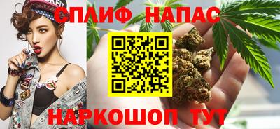 дмт Будённовск