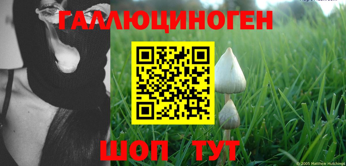 Смоленск  Псилоцибиновые грибы Psilocybine cubensis  Вход с VPN 